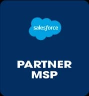 Salesforce Partner MSP
